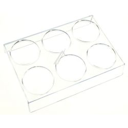 Ablagefach für Kühlschrank Beko C00883308 Glas, Kühlschrankregal