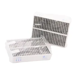 Aktivkohlefilter für Ofen Eurofilter X876873 Dunstabzugshaube