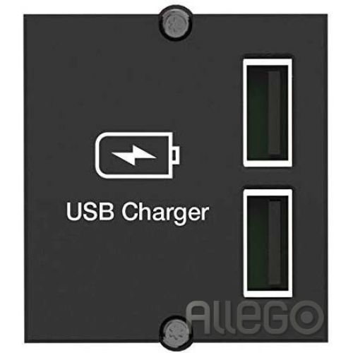 Bild: Bachmann Custom Module USB Doppel-Charger 917.224