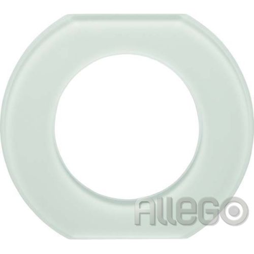 Bild: Berker Glas-Mittelrahmen 1-fach Serie Glas pws 109309