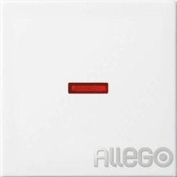 Busch-Jaeger Kontrollwippe Schalt/Tast 1789-914 Busch-balance SI aws glz Busch-J