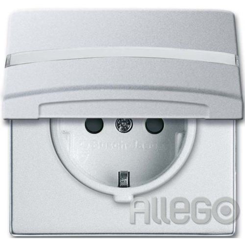 Bild: Busch-Jaeger Schuko-Steckdoseneinsatz IP44 alus 20 EUGKBN-33-101
