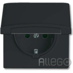 Busch-Jaeger Schuko-Steckdoseneinsatz IP44 anthra 20 EUGK-35-101