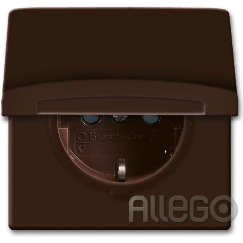 Bild: Busch-Jaeger Schuko-Steckdoseneinsatz IP44 braun 20 EUGKB-31-101