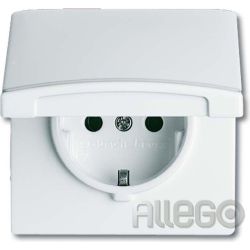 Busch-Jaeger Schuko-Steckdoseneinsatz IP44 weiß 20 EUGK-32-101
