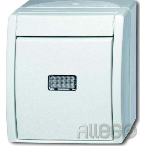 Bild: Busch-Jaeger Taster aws Wechsler 2621 W-54-206