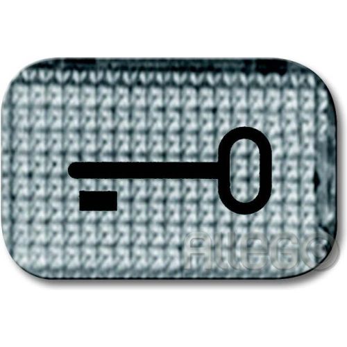 Bild: Busch-Jaeger Tastersymbol Schlüssel 2145 TR transparent glasklar Busch-Jaeger Ta