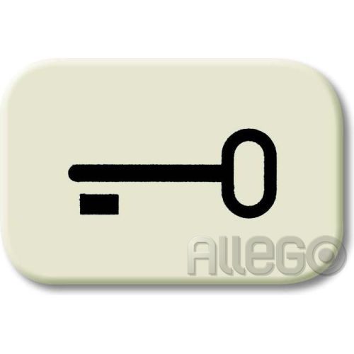 Bild: Busch-Jaeger Tastersymbol Schlüssel 2525 TR weiß Busch-Jaeger Tastersymbol Schlü