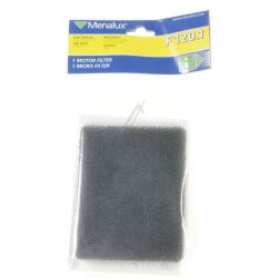 Filter für Staubsauger Electrolux 9001966069 Feinstaubfilter