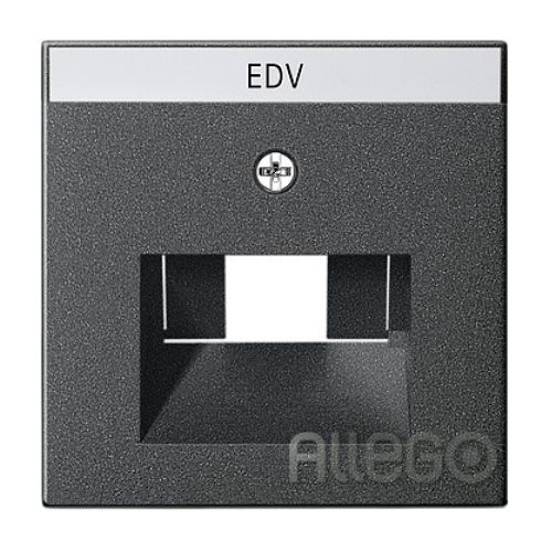 Bild: Gira 028428 ZENTRALPLATTE 50X50MM ANTHR