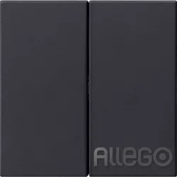 GIRA Bedienaufsatz 2fach sw 5362005
