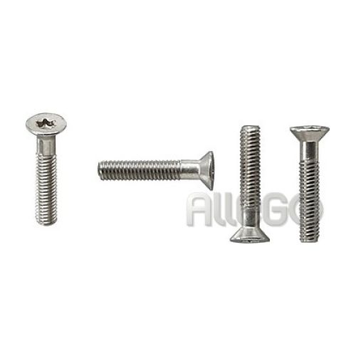 Bild: Gira Torx Schrauben-Set 140200