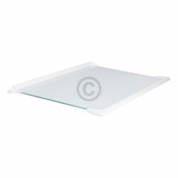 Glasplatte oben für Kühlteil Beko 4564180200 450x300mm mit Leisten in