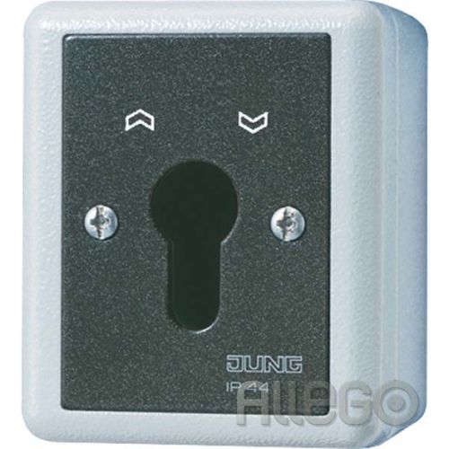 Bild: Jung Schlüsselschalter 10AX 250V 2-pol. 804.28 G