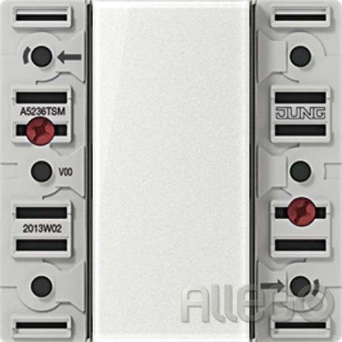 Bild: Jung Tastsensor-Modul 3fach AC/DC24V 3-k. 6Sp. A 5236 TSM