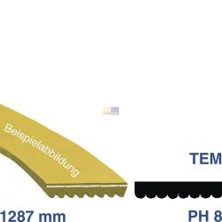 Keilrippenriemen 1287 PH 8 E Zanussi 132672100/6