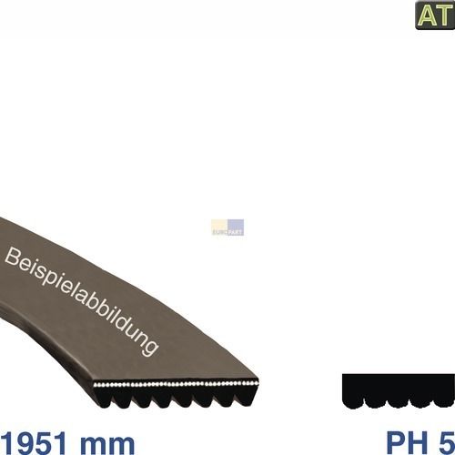 Bild: Keilrippenriemen 1951 PH 5 wie Electrolux 150612403/9 für Trockner