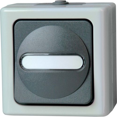 Bild: Kopp Kreuz-Schalter 560756009 AP-FR IP44 grau BLUE ELECTRICKopp Kreuz-Schalter 5