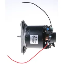 Motor 12016198