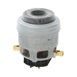 Motor Bosch 00654196 1BA44186SK mit Kohlen für Bodenstaubsauger