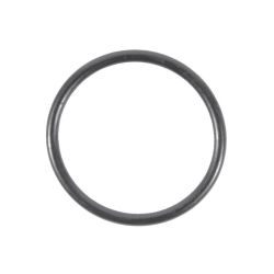 O-Ring für Temperatursensor, für Geschirrspüler (1172070102)