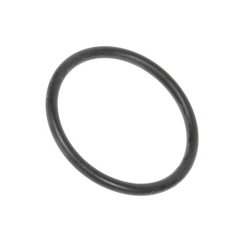 Bild: O-Ring für Waschmaschinen (50221747004)