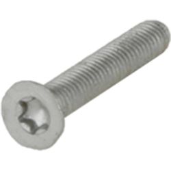 Schraube COUNTERSUNK HEAD SCREW M4x25 Tx20 10012969