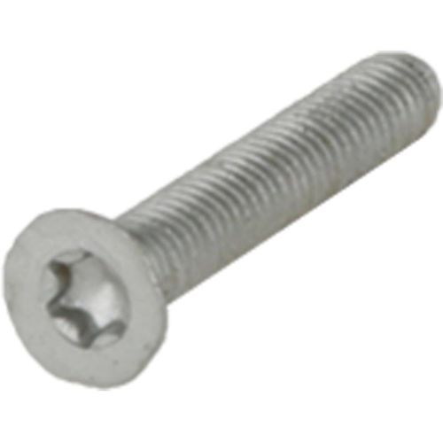 Bild: Schraube COUNTERSUNK HEAD SCREW M4x25 Tx20 10012969