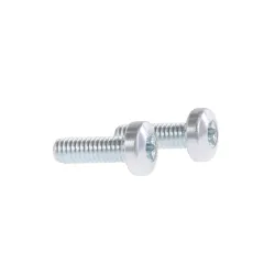 Schraube Linsenkopf M4x12 Torx niro (2 Stueck) 00175575