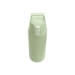 SIGG Flasche ST Eco Green 0,75