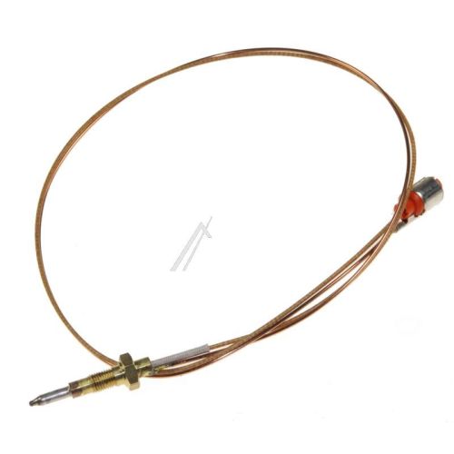Bild: Thermoelement L.600 für Candy Ofen 42800311 600mm