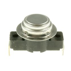 Waschmaschinenthermostat (50209413009)