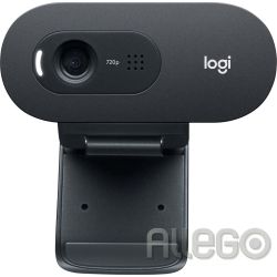 Webcam USB HD,30FPS,Business LOGITECH C505e