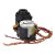 Bild: Wischmotor links Ecovacs 201-2353-1477 für Saugroboter